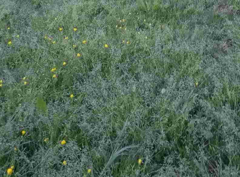 Come fare l'orto-preparazione del terreno