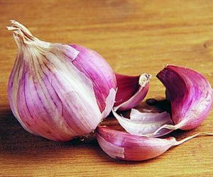 Infuso d'aglio - macerato d'aglio-varietà rosso di Sulmona