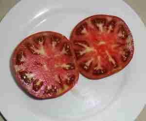Conservare i semi dei pomodori - pomodoro carnoso ricco di polpa all'interno