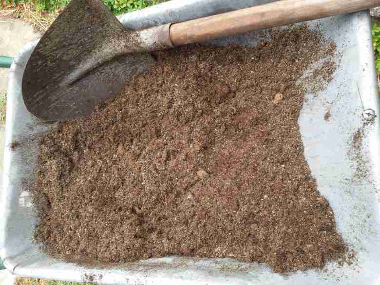 Mix terriccio e sabbia