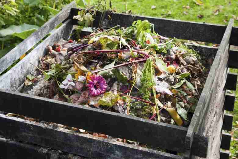 Cosa mettere per fare il compost