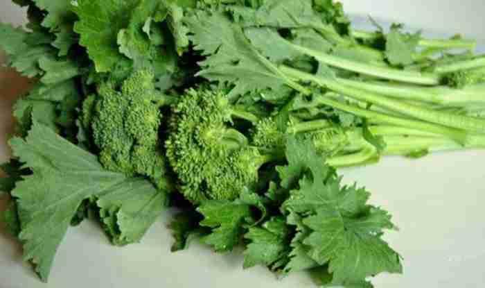 Semina e coltivazione delle cime di rapa - primo piano broccoletti