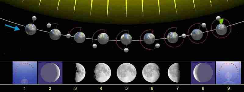 Fasi del ciclo lunare