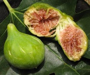 miele di fichi-crocette di fichi secchi- varietà fico Dottato