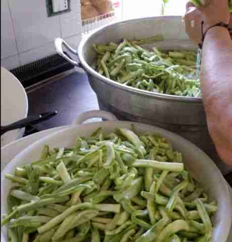 Come Conservare Le Zucchine Sottolio Coltivazione Biologica