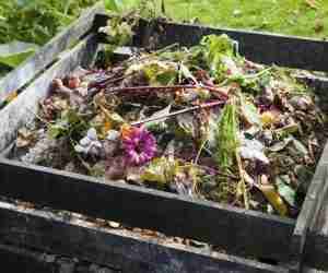 Compost domestico