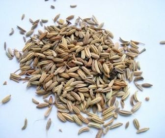 Semi di finocchio