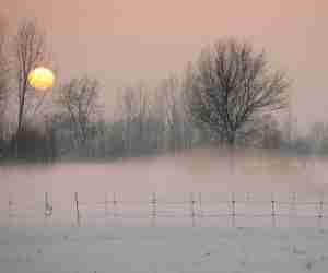 Il ciclo dell'acqua e la progettazione dell'orto in permacultura - nebbia