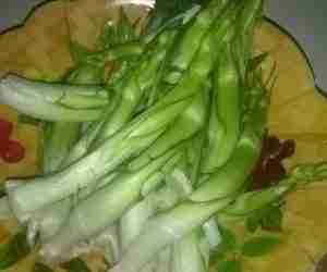 Varietà di cicoria puntarelle-insalata cruda di germogli di puntarella