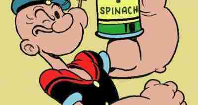 semina e coltivazione degli spinaci-braccio di ferro
