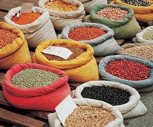 concimazione naturale-sovescio di leguminose-consumo alimentare