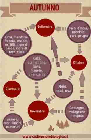 Calendario della frutta di stagione autunno