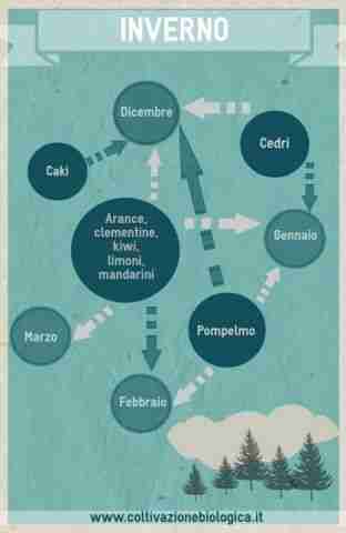 Calendario della frutta di stagione-inverno