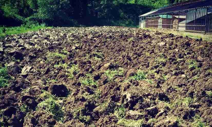 Lavorazione del terreno a dicembre