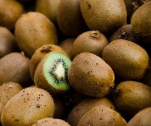 I frutti raccolti della coltivazione del kiwi