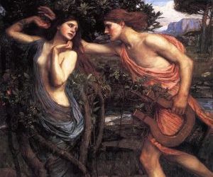 liquore di alloro leggenda di Apollo e Dafne