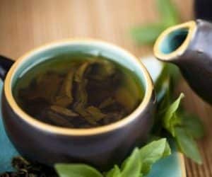Liquore di alloro-Infuso di alloro