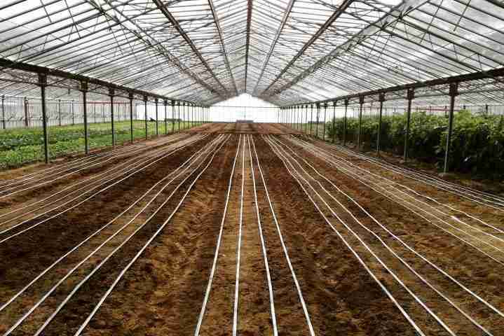 Manichetta Ala Gocciolante Per Irrigazione 250 M – D.16 Mm, Passo 30 Cm – PLUVIO