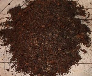 Terriccio per la coltivazione del rosmarino