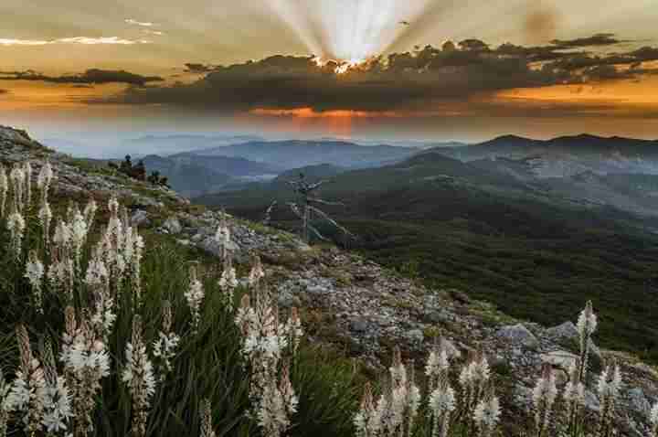 Alba sullo Ionio - Selletta della Porticelle (Parco Nazionale del Pollino)