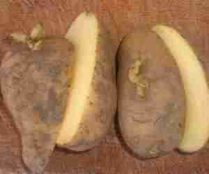 Patate con taglio longitudinale