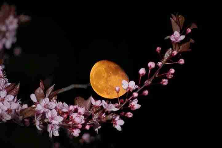 Luna di aprile