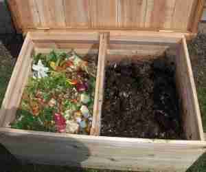 Home composting and worms