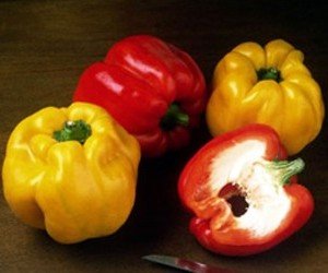 Peperoni biologici quadrato d'Asti
