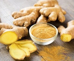 Come Coltivare Lo Zenzero In Vaso Coltivazione Biologica