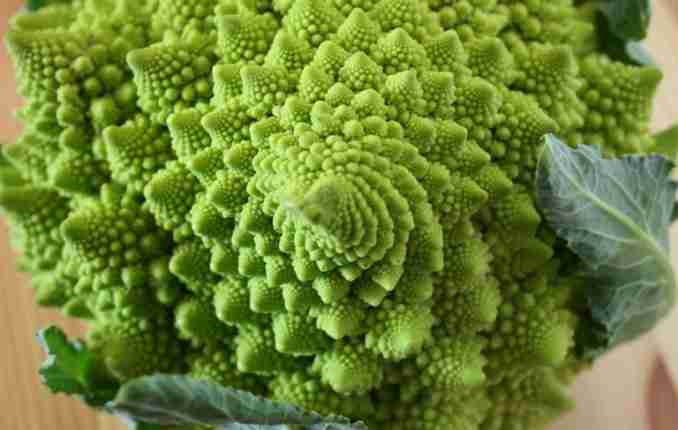 Cavolo broccolo romanesco