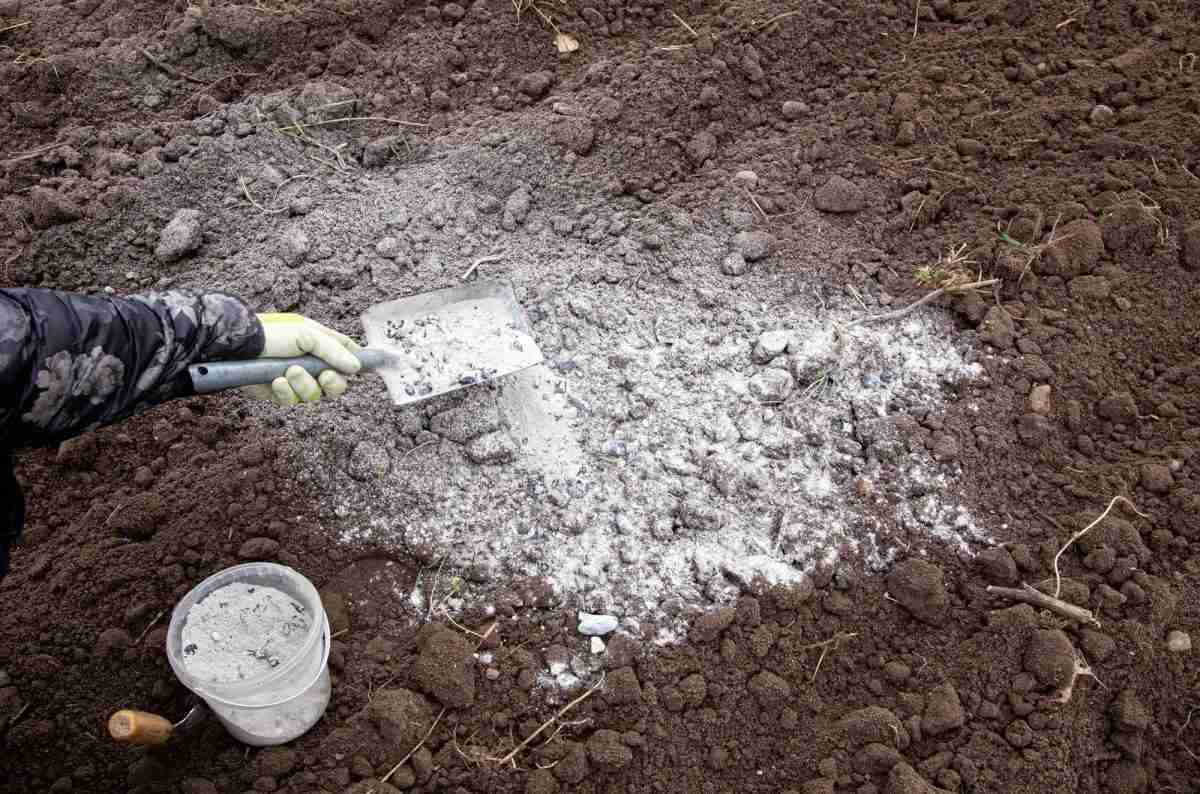 Cenere Di Legna Vergine &ndash; Busta Da 1000 Grammi, Per Liscivia, Sapone, Compost E Antilumache