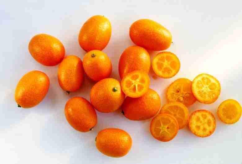 Kumquat nagami