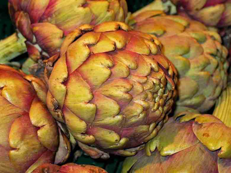 Carciofi a capolino grosso