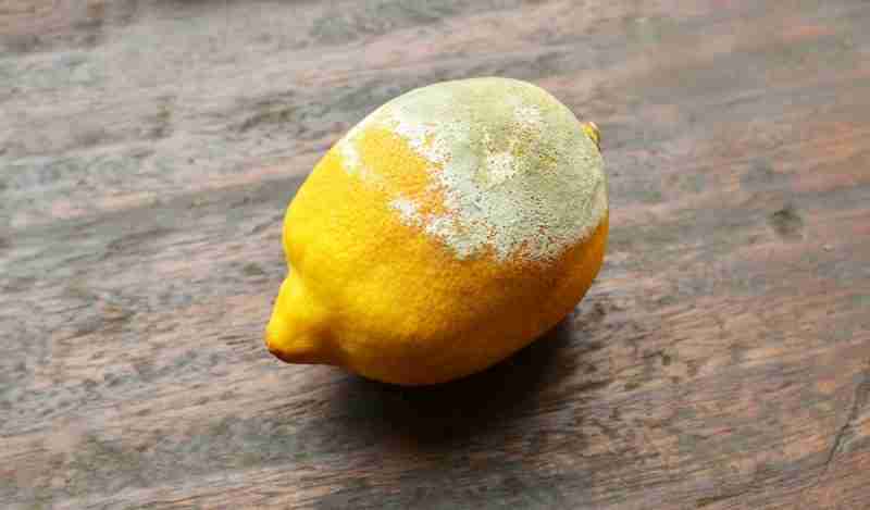Limone colpito da muffa degli agrumi
