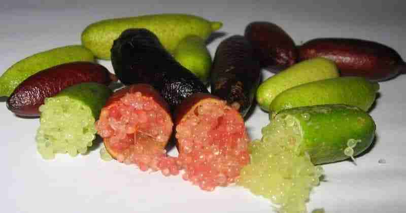 Diverse varieta di finger lime