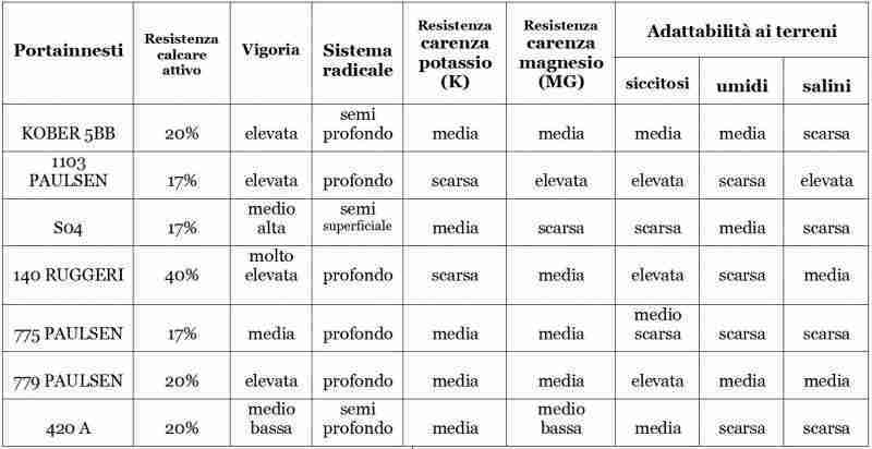 Tabella portainnesti della vite