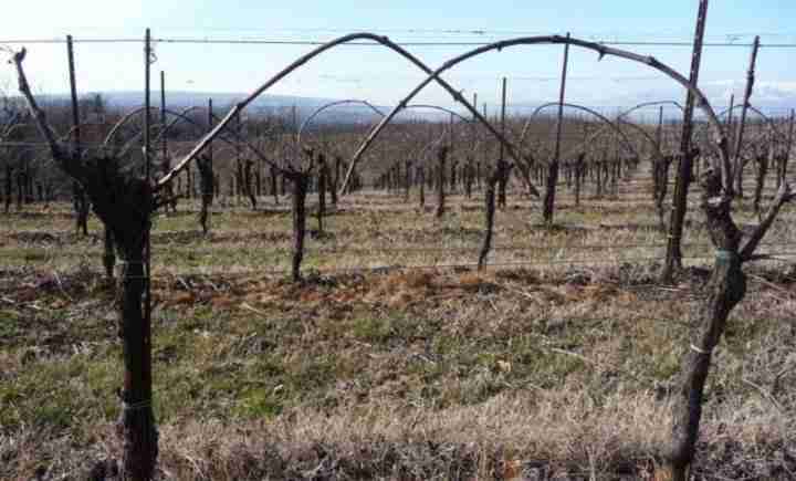 Gardena Cavo Prolunga 10m Per Sensore Pioggia - Estendibile Fino A 105m - Foto 12