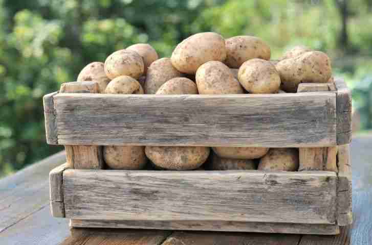 Patate in cassetta di legno