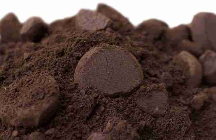 Come Usare I Fondi Di Caff Per Concimare Piante E Orto