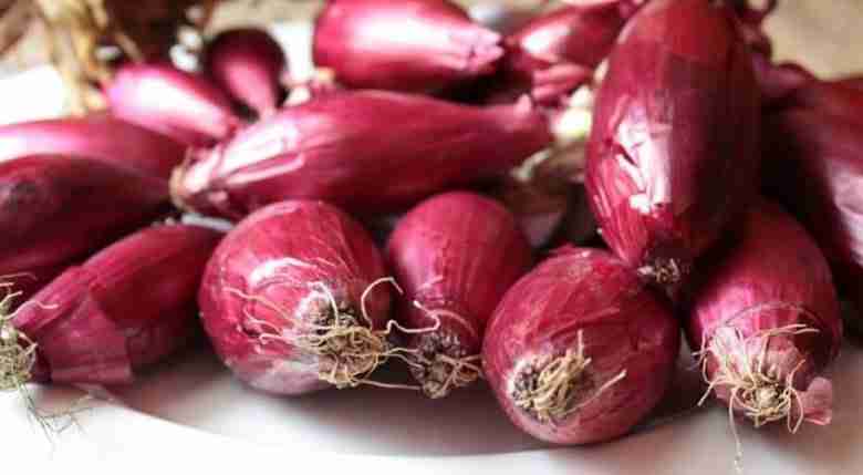 Ricette con cipolle