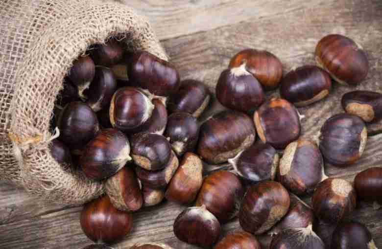 Come conservare le castagne