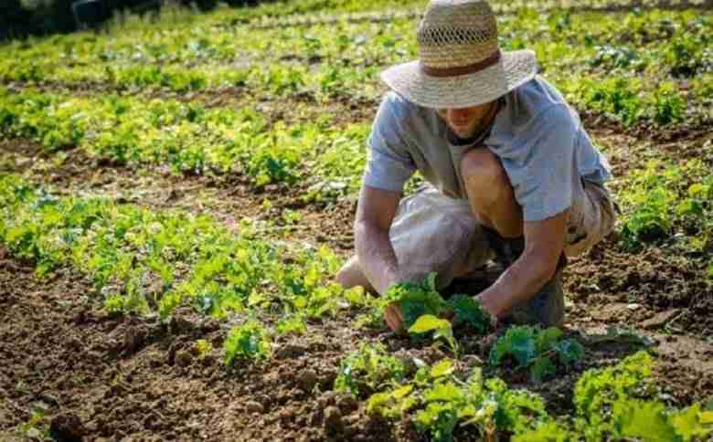 Terreno per avviare attività agricola