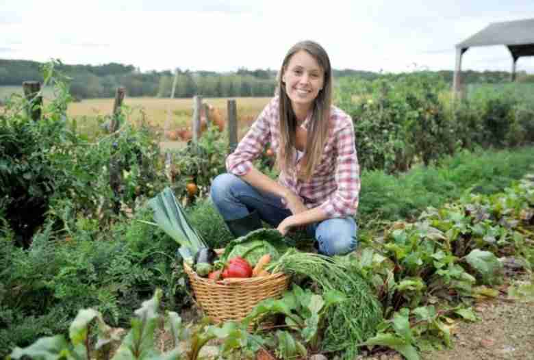 Terreno agricolo gratuito