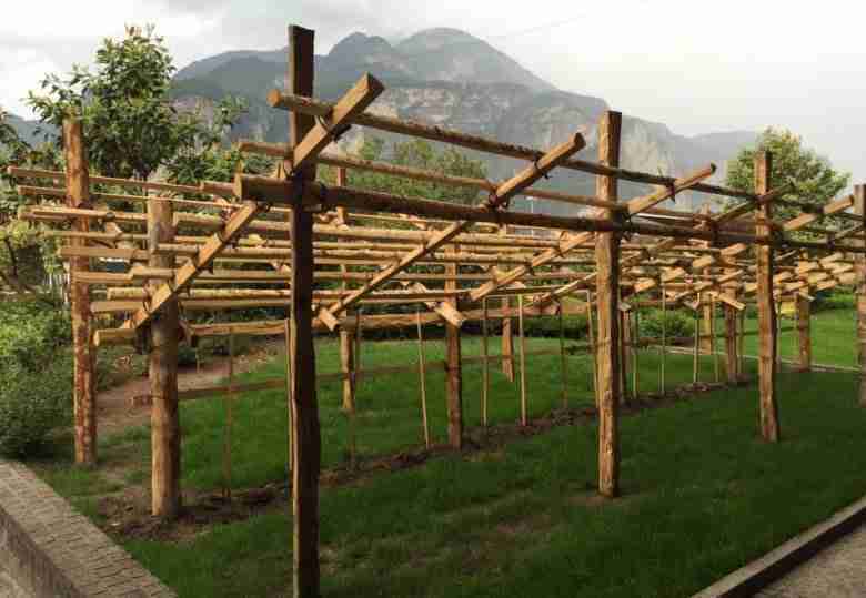 Pergola trentina doppia