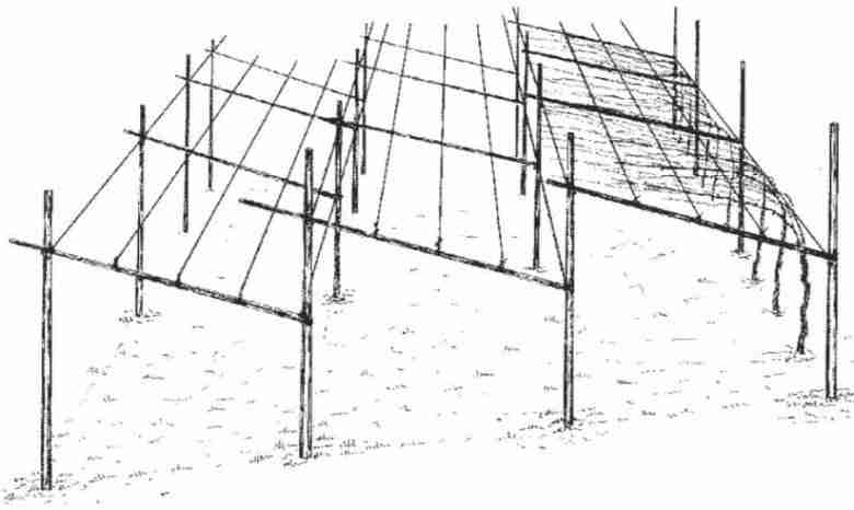 Pergola trentina semplice
