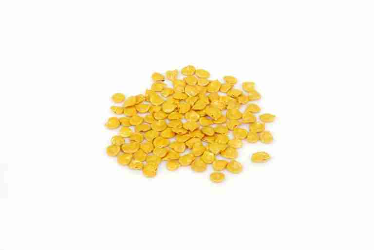 Semi Di Melanzana Toga A Righe (Solanum Aethiopicum) – 5+ Semi Fresh Da Ungheria