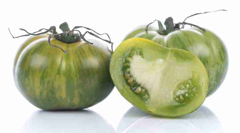 pomodori zebrati