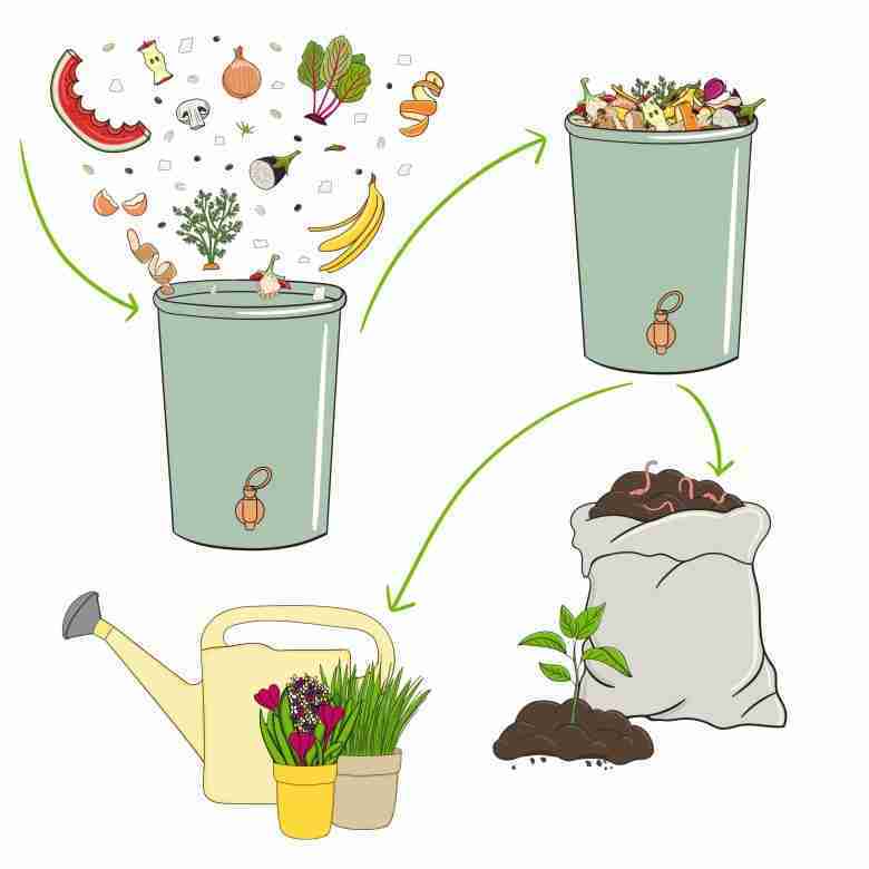 ciclo compost