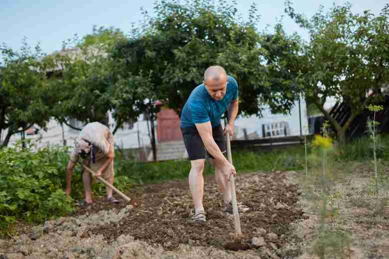 Lavorazione del terreno con la zappa