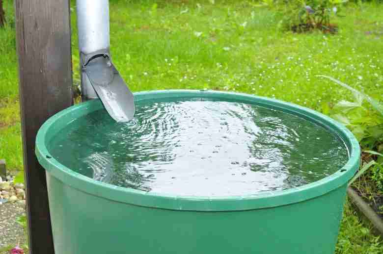 Acqua piovana raccolta in un bidone